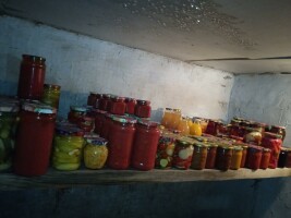 Фото 1 от Инна Лямзина