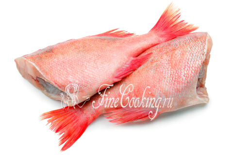Морской окунь