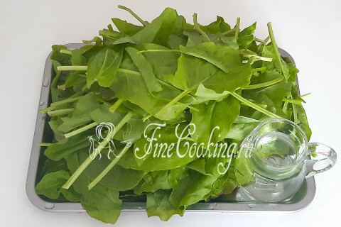 Продукты для заготовки щавеля на зиму: свежий щавель и питьевая вода