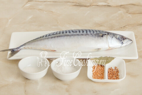 Продукты для соления скумбрии: тушка рыбы, соль, сахар, горчица, кориандр, лавровый лист