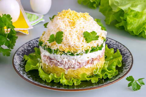 Разрезанная порция салата с видимыми слоями картофеля, курицы, яиц и лука