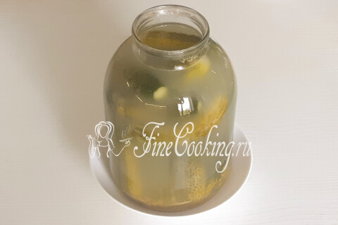 Огурцы болотного цвета в банке с рассолом, покрытым белесым налётом.