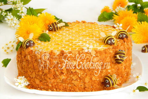 Медовик с шоколадными пчёлками на боках и мёдом в шоколадных сотах