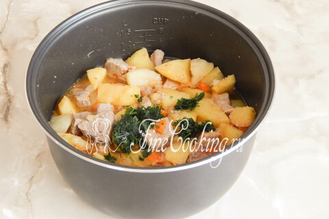 Тушёный картофель с мясом, посыпанный измельчённым укропом в чаше